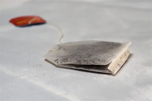 トロビタ矮性オレンジの室内栽培完全ガイド！初心者でも成功する3つのポイント