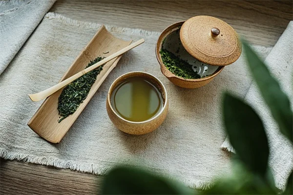 8月に植える花7選：失敗しないコツと秋まで楽しむ品種